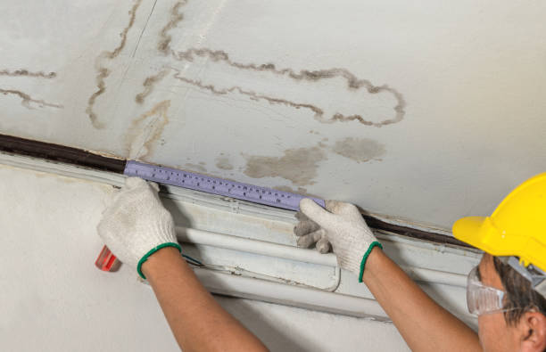 Affordable Water Damage Repair solutions in Crawfordsville, IN